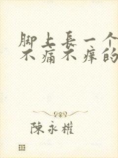 脚上长一个硬包不痛不痒的