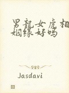 男龙女虎相配的姻缘好吗