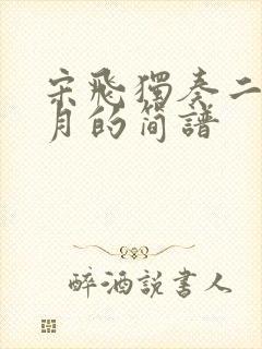 宋飞独奏二泉映月的简谱