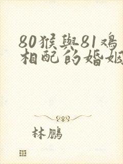 80猴与81鸡相配的婚姻如何