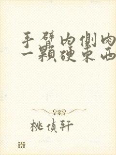 手臂内侧肉里有一颗硬东西