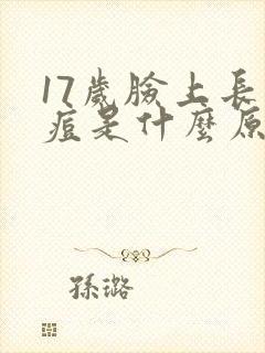 17岁脸上长痘痘是什么原因引起的