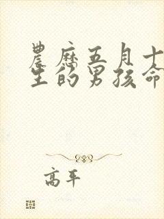 农历五月十三出生的男孩命运如何