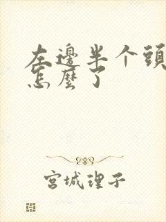 左边半个头麻是怎么了封面