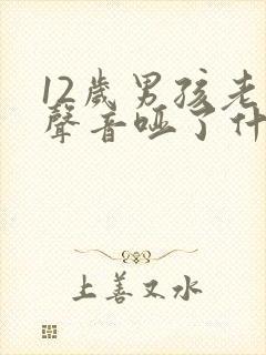 12岁男孩老是声音哑了什么原因封面