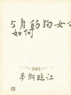 5月的狗女命运如何