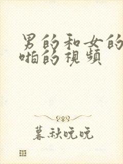 男的和女的啪啪啪的视频封面