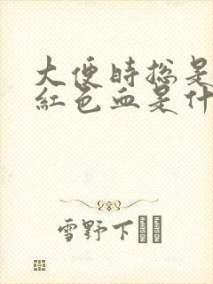 大便时总是有暗红色血是什么原因