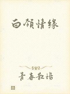 白领情缘封面
