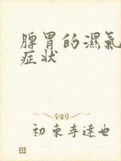 脾胃的湿气重的症状