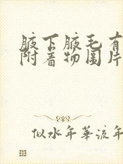 腋下腋毛有白色附着物图片