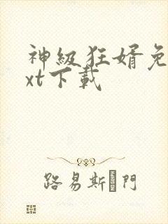 神级狂婿免费txt下载封面