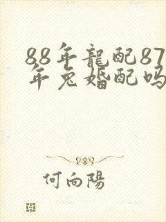 88年龙配87年兔婚配吗