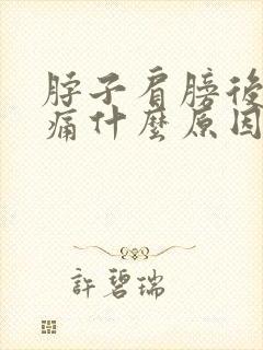 脖子肩膀后背酸痛什么原因