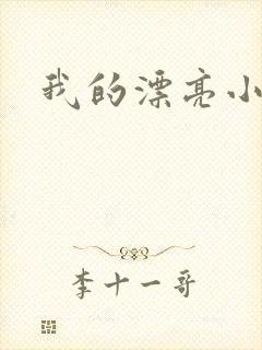 我的漂亮小后妈封面