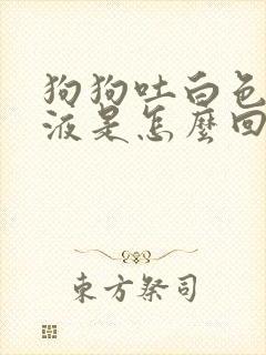 狗狗吐白色的粘液是怎么回事