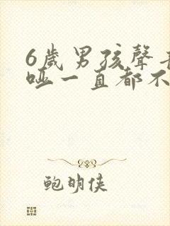 6岁男孩声音嘶哑一直都不好是什么原因