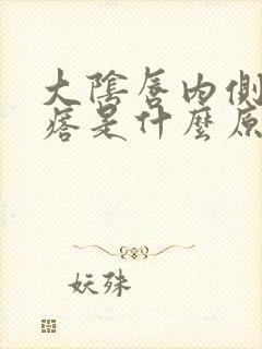 大阴唇内侧长疙瘩是什么原因