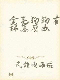 金毛狗狗有点拉稀怎么办