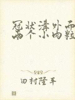 冠状沟外面长了两个小肉粒