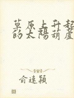 草原上升起不落的太阳葫芦丝伴奏