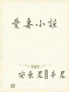 爱妻小说