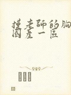 摸老师的胸视频国产一区