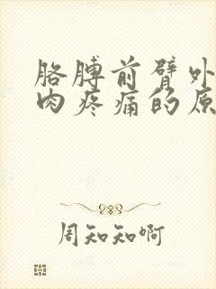 胳膊前臂外侧肌肉疼痛的原因