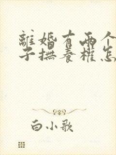 离婚有两个小孩子抚养权怎么判定