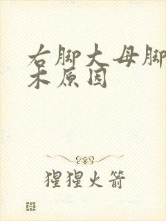 右脚大母脚趾麻木原因