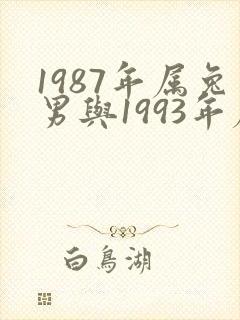 1987年属兔男与1993年属鸡女婚配