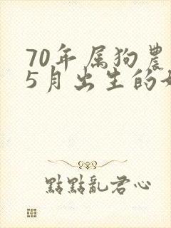 70年属狗农历5月出生的好吗