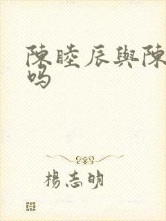 陈睦辰与陈晓像吗封面