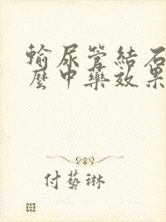 输尿管结石吃什么中药效果好封面