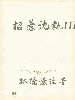 招惹沈执11h封面