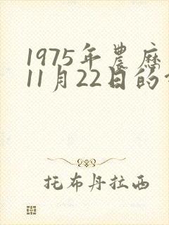 1975年农历11月22日的命运