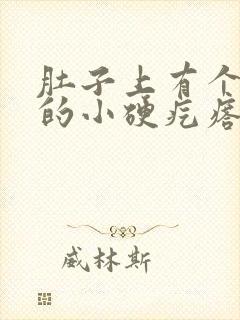 肚子上有个黑色的小硬疙瘩封面