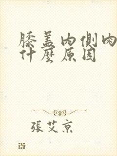 膝盖内侧肉疼是什么原因