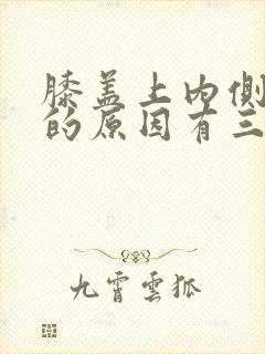 膝盖上内侧疼痛的原因有三种