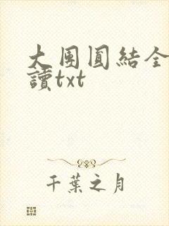 大团圆结全文阅读txt