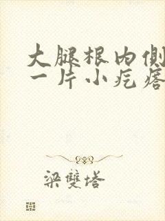 大腿根内侧起了一片小疙瘩