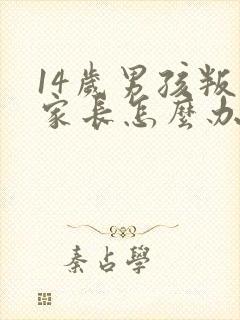 14岁男孩叛逆家长怎么办