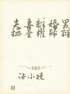 夫妻离婚男孩子抚养权归谁