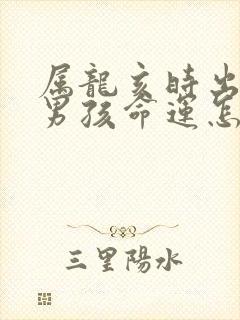 属龙亥时出生的男孩命运怎么样