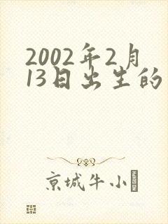 2002年2月13日出生的男孩命运