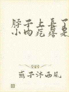 脖子上长了好多小肉疙瘩是怎么回事