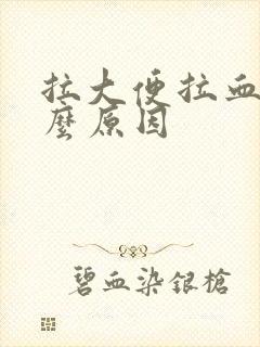 拉大便拉血是什么原因