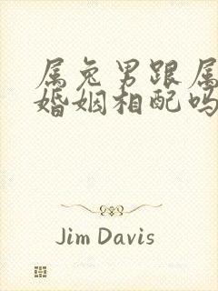 属兔男跟属龙女婚姻相配吗封面