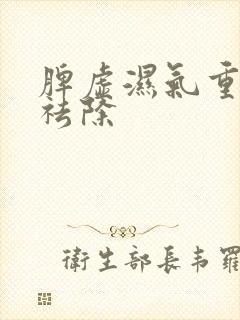 脾虚湿气重怎样祛除