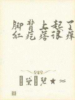 脚背上起了好多红疙瘩很痒怎么回事封面